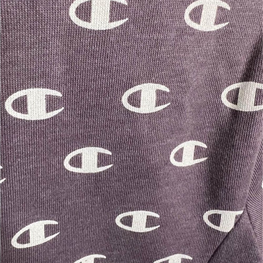 Champion Pullover Size Small - Picture 3 of 5